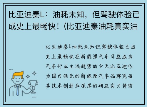 比亚迪秦L：油耗未知，但驾驶体验已成史上最畅快！(比亚迪秦油耗真实油耗报告)