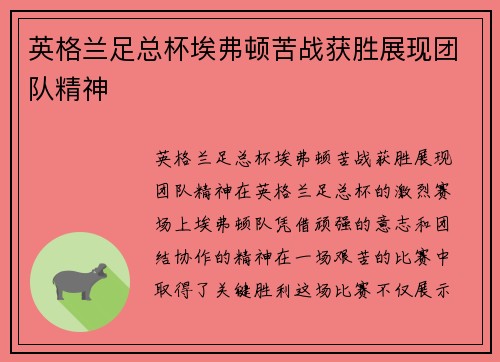 英格兰足总杯埃弗顿苦战获胜展现团队精神