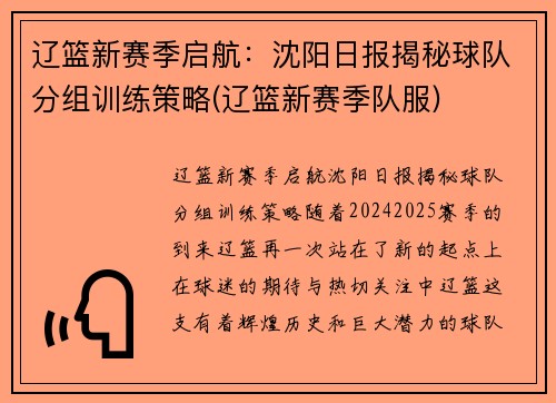 辽篮新赛季启航：沈阳日报揭秘球队分组训练策略(辽篮新赛季队服)